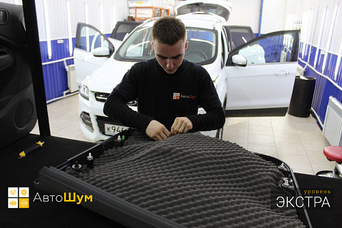 Шумоизоляция дверной обшивки Форд Куга