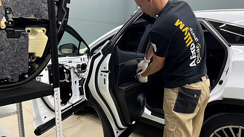 Разбор дверей Лексус РХ