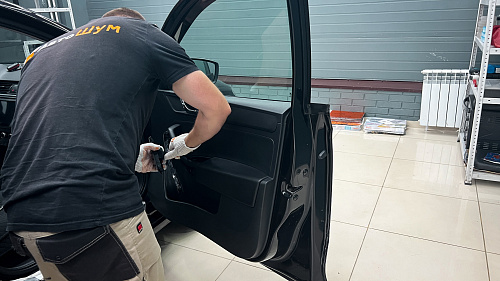 Разбор дверей Шкода Рапид