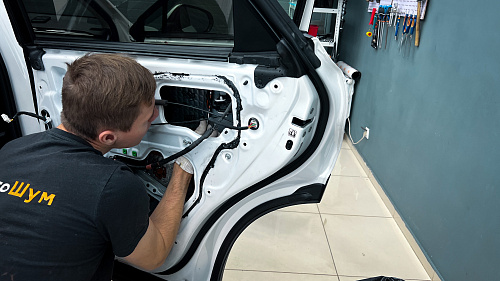 Виброизоляция дверей Лексус НХ