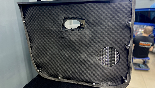 Шумоизоляция дверной обшивки Рено Сандеро