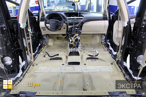 Грязный ковёр Лексус РХ 350