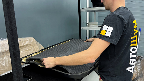 Шумоизоляция дверной обшивки Лексус РХ