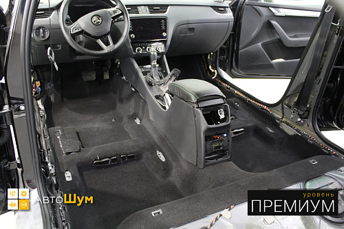 Пылесосим ковер Шкода Октавия