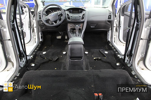 Грязный ковер Форд Фокус