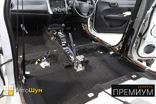 Грязный ковер Тойота Филдер